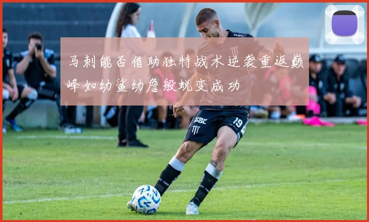 马刺能否借助独特战术逆袭重返巅峰如幼鲨幼詹般蜕变成功